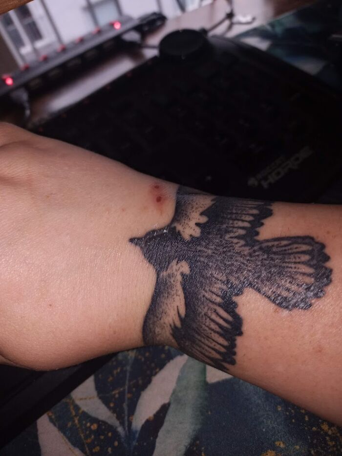 A Crow Around My Wrist