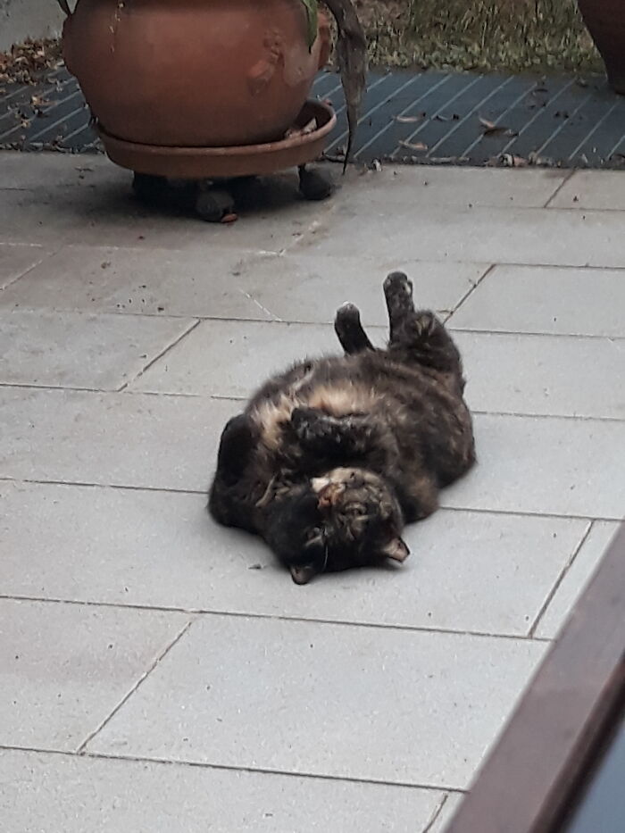 Schuldie Sleeps Like That. Unapologetic