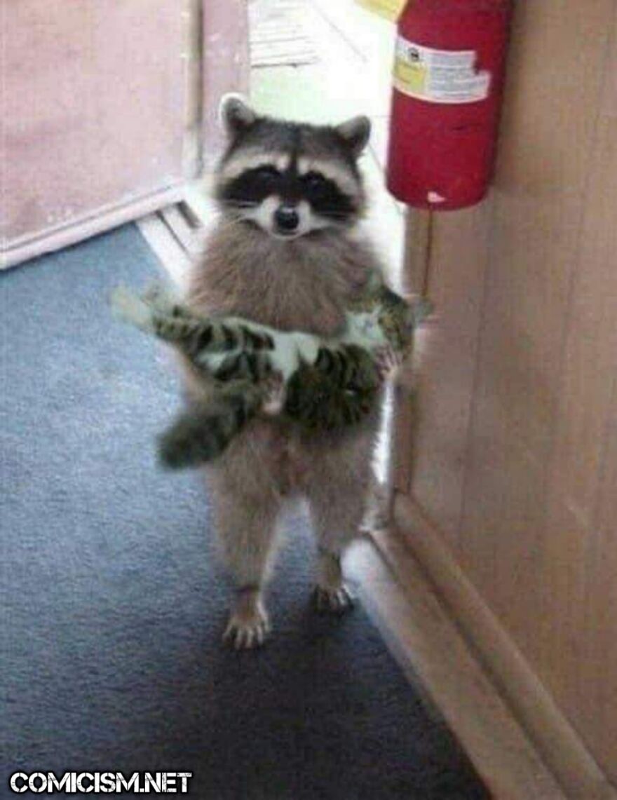 These 24 Animals Being Derps Become The Reason To Make Your Day Bright