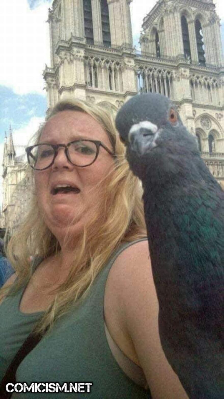 These 24 Animals Being Derps Become The Reason To Make Your Day Bright