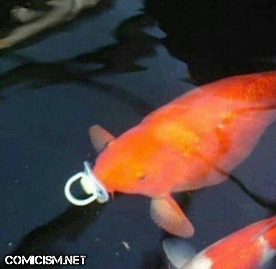 These 24 Animals Being Derps Become The Reason To Make Your Day Bright