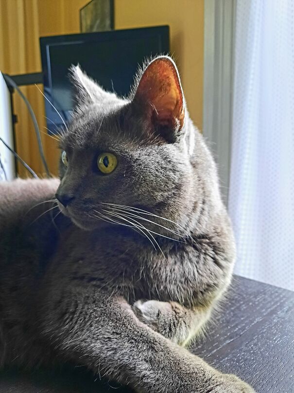 It's Friday, Is That The Pizza Guy At The Door?