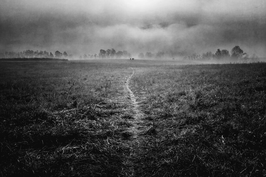 "Standing Together" © Jo Fields (United States)