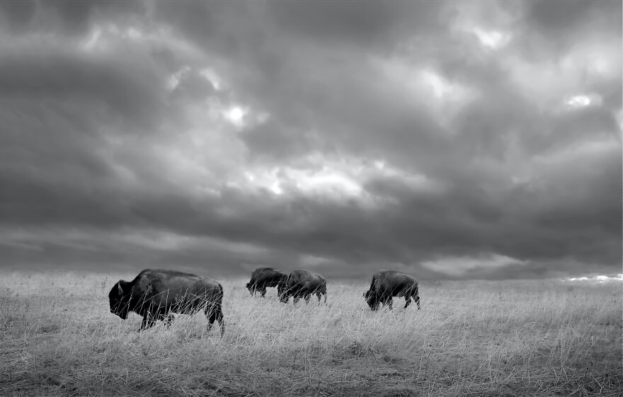 "Under An Autumn Sky" © Steve Toole (United States)