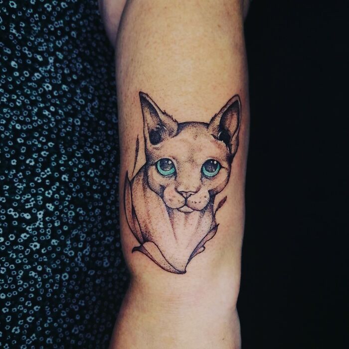 Tattoo of a sphinx cat with blue eyes on a person's arm, showcasing detailed linework and shading.