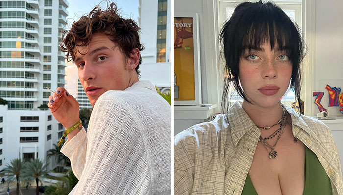Shawn Mendes Got Rejected By Billie Eilish As She Never Responded To His Texts