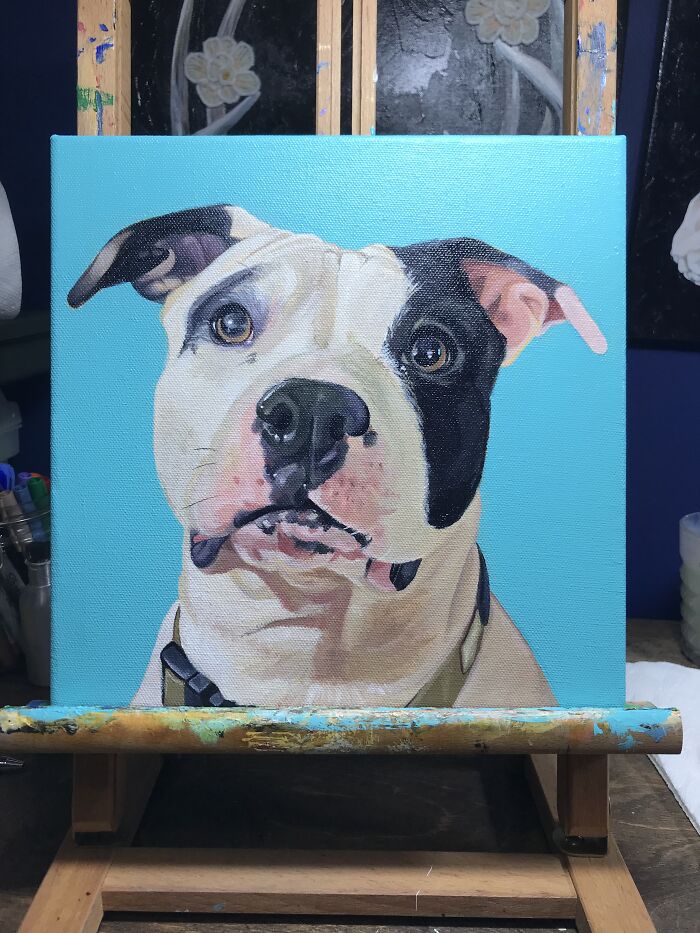 Pet Portrait Of Coco!