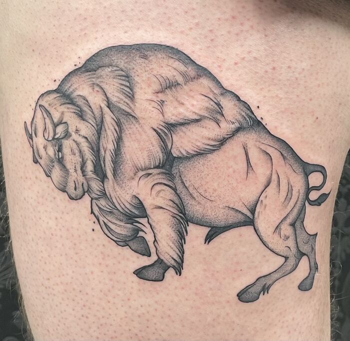 Tattoo of a detailed bison on skin, showcasing the latest ink artwork from a tattoo enthusiast.