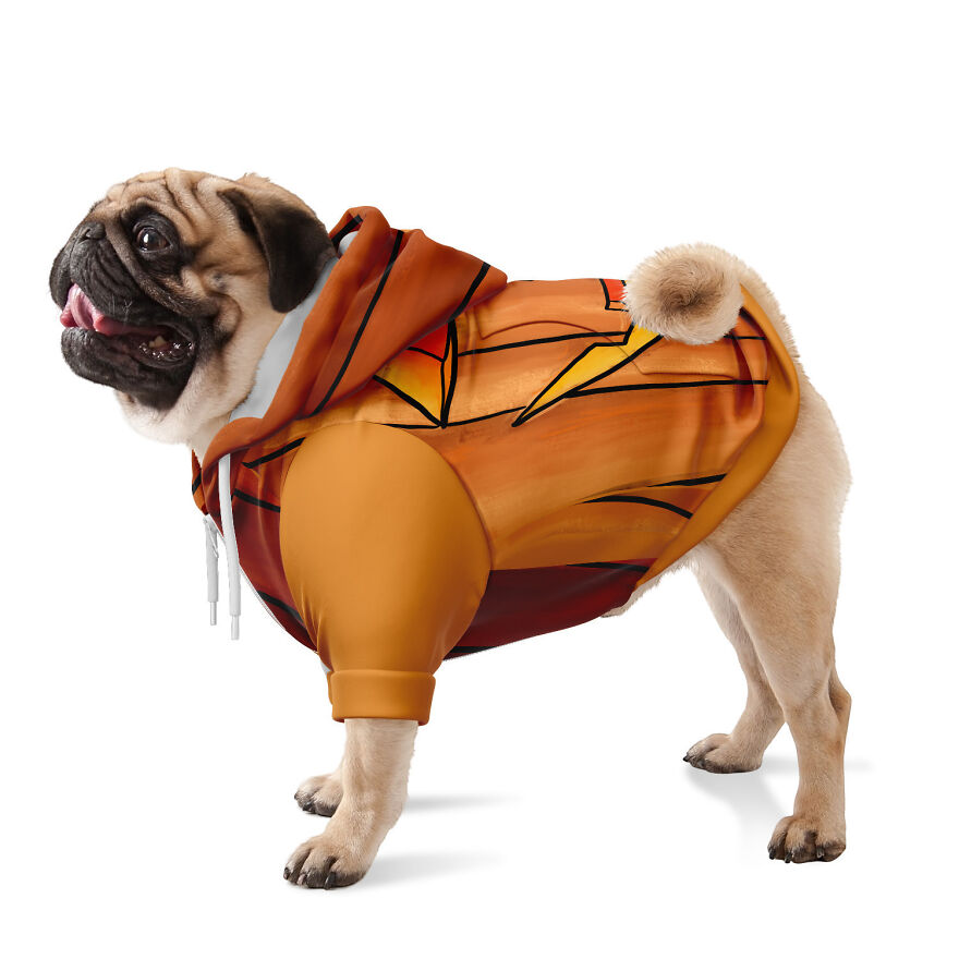 I Made Hiking Halloween Costumes For You And Your Dog I Made Hiking Halloween Costumes For You And Your Dog