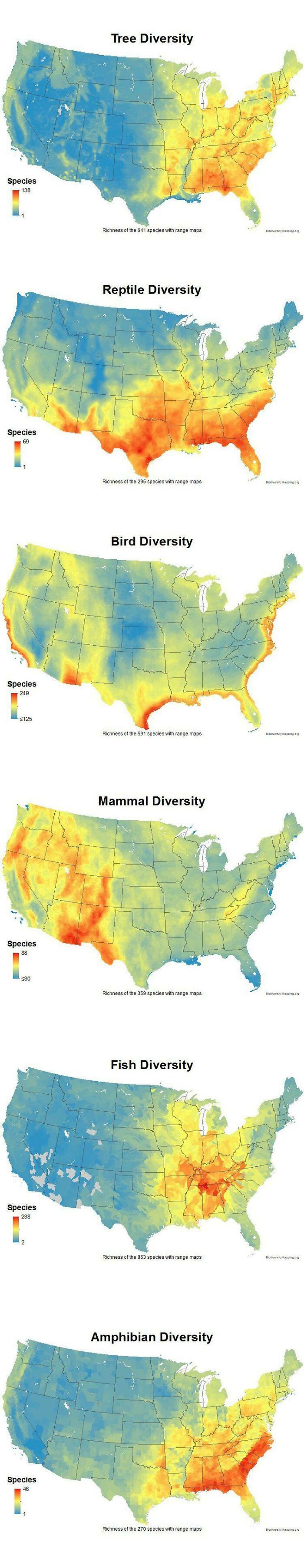 U.s Wildlife Diversity