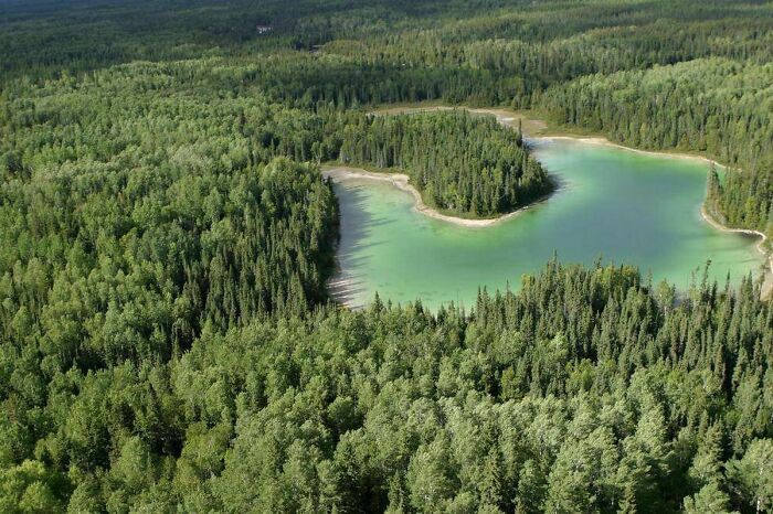 Canada Still Has 91% Of The Forest Cover That Existed At The Beginning Of The European Settlement