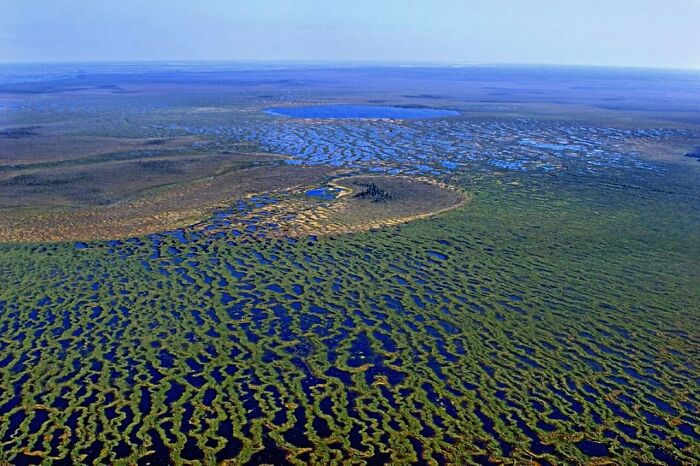 El pantano Vasyugan es el más grande del mundo. Está en Rusia y es del tamaño de Suiza. Se dice que aquí está la Atlántida