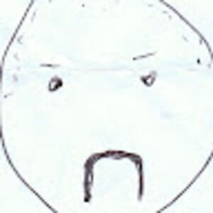 dvaedreiundzwanzig avatar