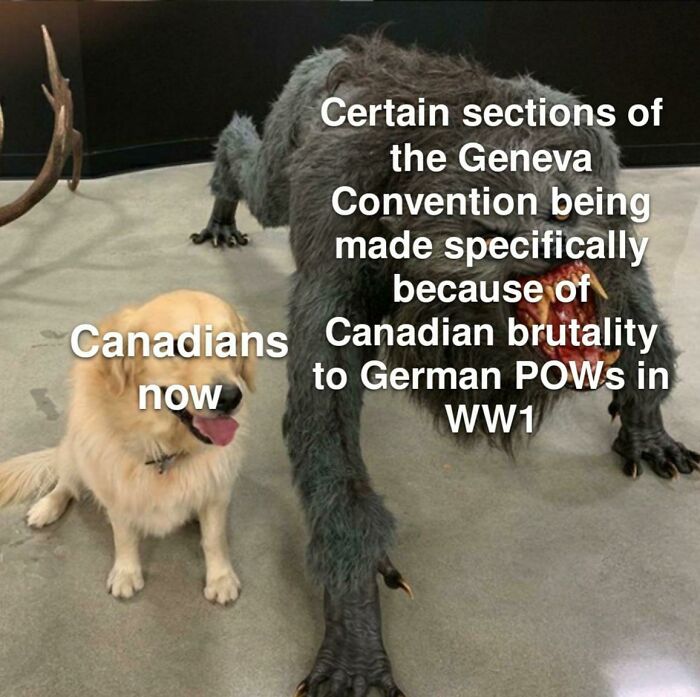 Explain Canadians