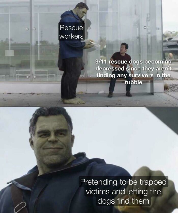 In The Aftermath Of 9/11, Rescue Dogs Were Becoming Noticeably Depressed Because They Were Only Finding Dead Bodies In The Wreckage. Rescue Workers Tried To Make Them Feel Better By Hiding Beneath The Rubble & Letting The Dogs Find Them So They Would Think They Saved Someone