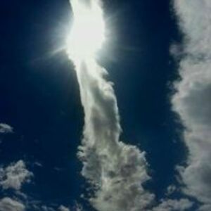 carie_woodstock-newman avatar