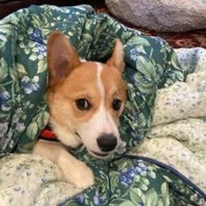 carolyn_bublitz avatar