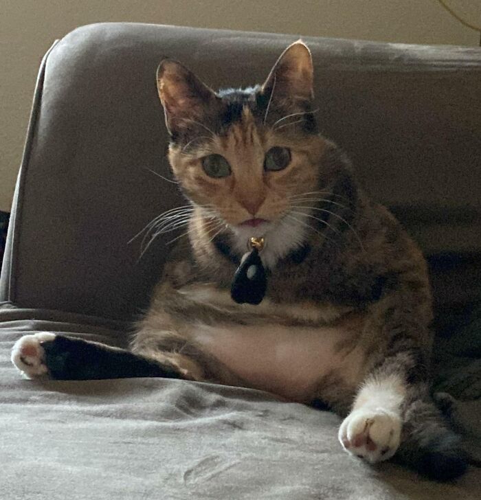 She Sits Like This A Lot And It Looks Like She Has No Arms