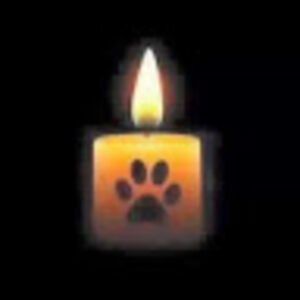 winonajohnston avatar