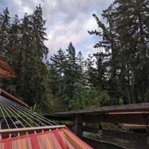 caseylauryn528 avatar