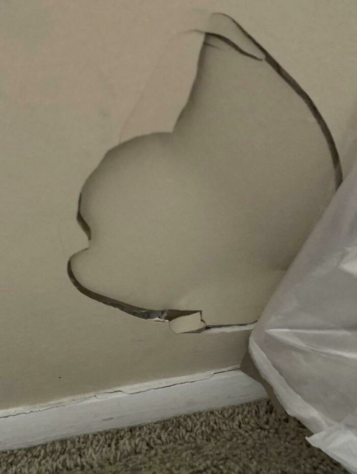 I Put A Hole In The Wall Because I Passed Out While Blowing My Nose