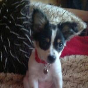 rachelchris1978 avatar