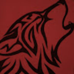 kristinreynolds avatar