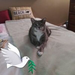 cathy_marcelo avatar