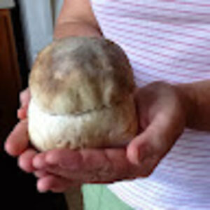 tracibarnwell avatar