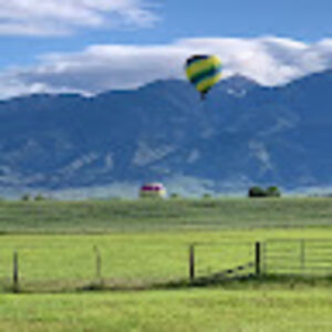 edinwells-minthorn avatar