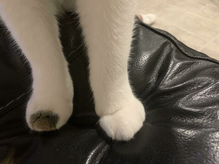 I Love His Spotted “Toe”