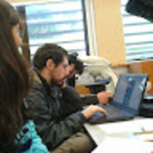 antoniofreitas avatar