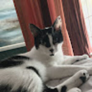 davidlatham_1 avatar