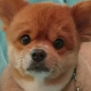 kevann_andrews avatar