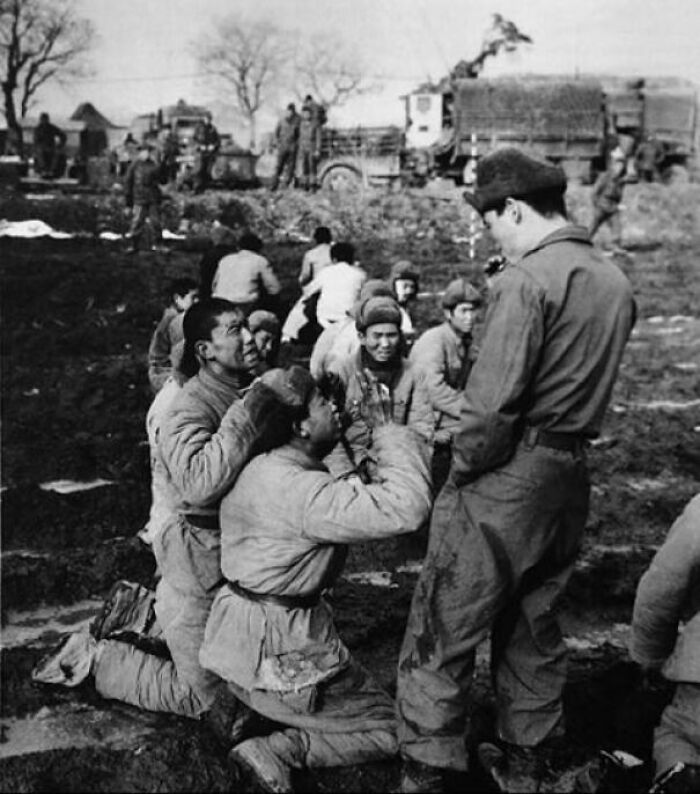 Soldados chinos capturados ruegan por su vida pensando que van a ser ejecutados, Corea 1951