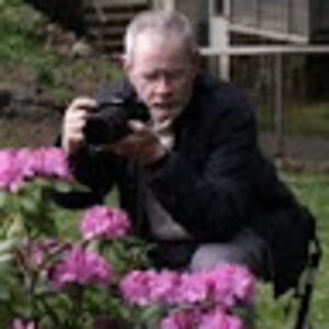 williamjdougherty_2 avatar