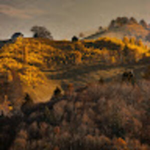 legendarysnake avatar