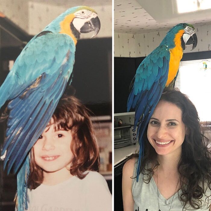 photos of a girl and her parrot through some years