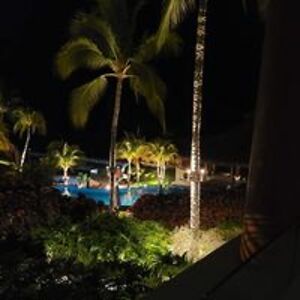 michelle_sutton28 avatar