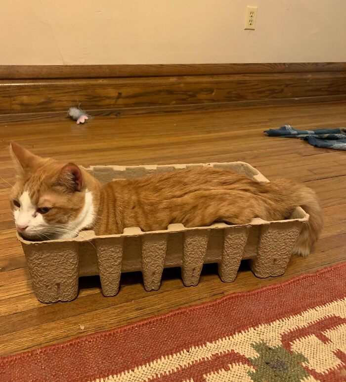 He Found A Perfect Fit