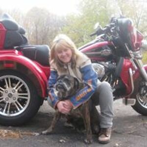 shaggydoggrooming avatar