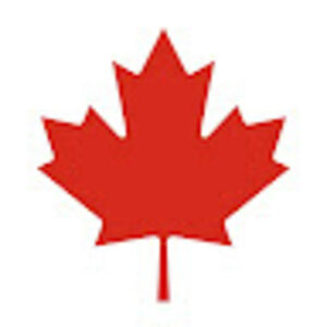 hamiltonnamazi avatar