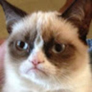 baileelaberge avatar