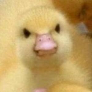 loganadkins17 avatar