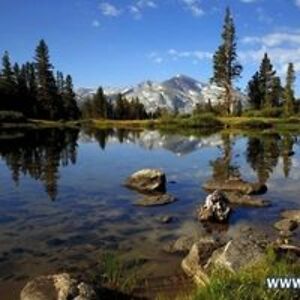 adrianadunose avatar