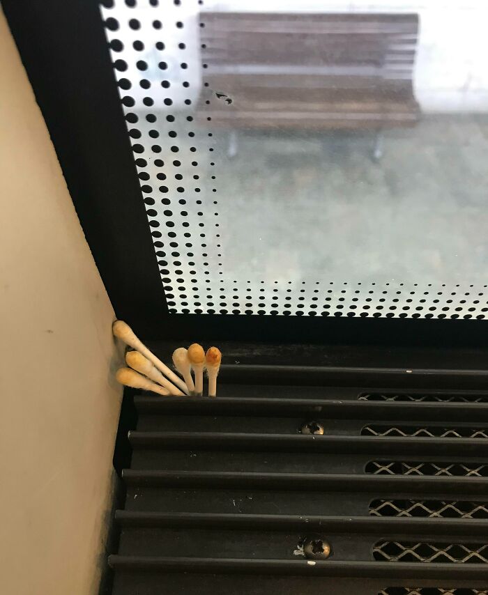 Someone Left These Used Cotton Swabs On This Train Window