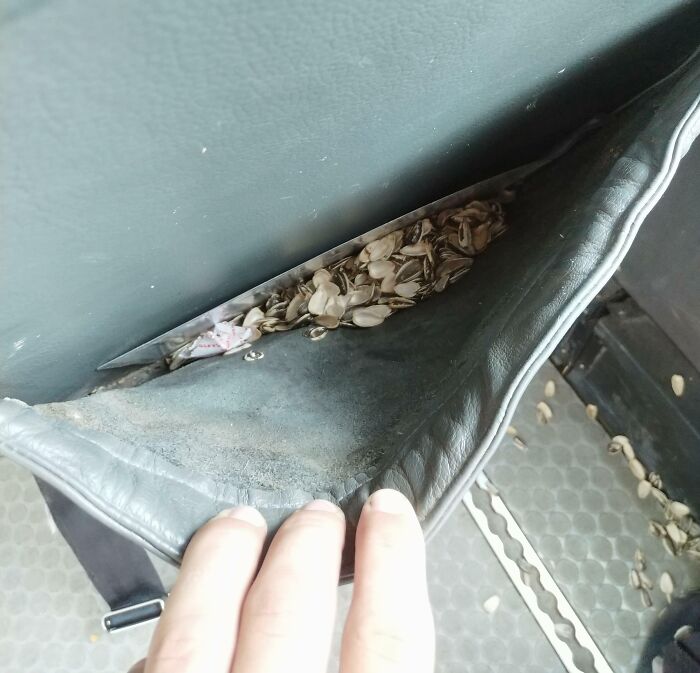 The Seat Pocket In The Plane Was Clearly The Best Place To Spit Sunflower Seeds