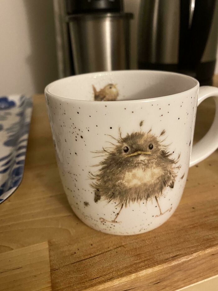 Esta taza con un pájaro despeinado representa perfectamente mi aspecto cuando me sirvo el café por la mañana