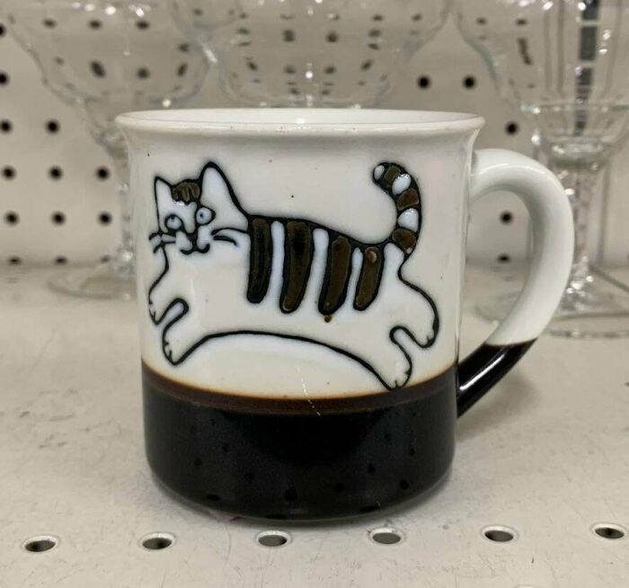 My Favorite Thrifted Mug Is This Funny Cat One. I Laugh Every Time I Look At Its Face