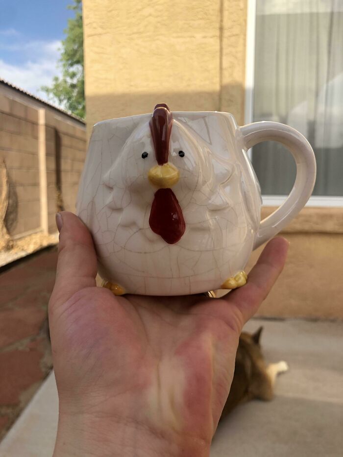 My Wonderful Chicken Mug That My Husbandly Vehemently Declared Wasn’t Worth Me Spending $5 On. I Can Somewhat Agree! Because Its Priceless! 